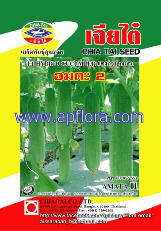 Apichaya Flora Vegetable seeds Cucumber-Amta II