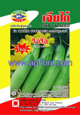 Apichaya Flora Vegetable seeds Cucumber-Chailai