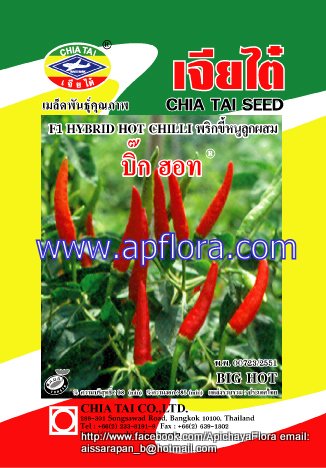 Apichaya Flora Vegetable seeds Hot chili-Big Hot