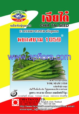 Apichaya Flora Vegetable seeds Pepper-Yok Siam1059