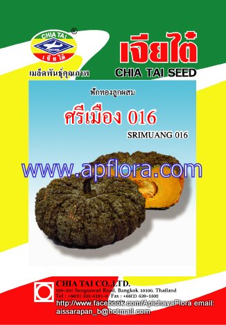 Apichaya Flora Vegetable seeds Pumpkin-Srimuang 16