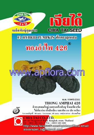Apichaya Flora Vegetable seeds Pumpkin-Thong am pai426