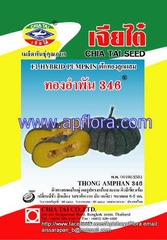 Apichaya Flora Vegetable seeds Pumpkin-Thong am pan346