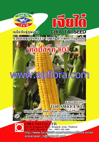 Apichaya Flora Vegetable seeds Sweet Corn-TOP-SWEET-801