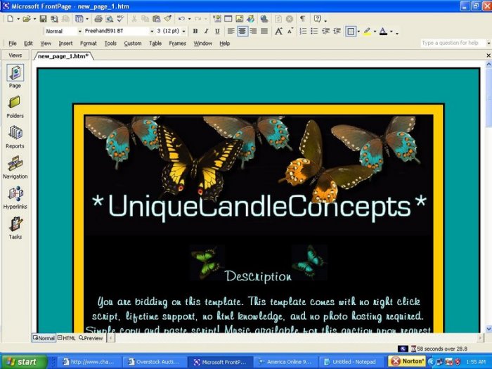 Butterfly Beauty Animal Template