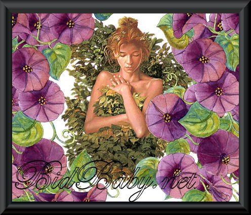 Natural Beauty- In Color
