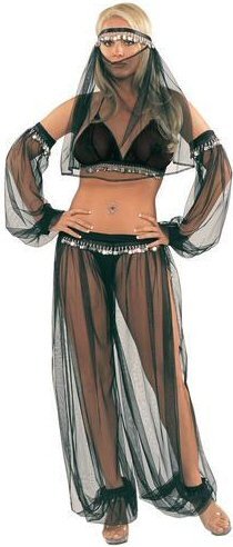 Veiled Genie Costume. One Size.