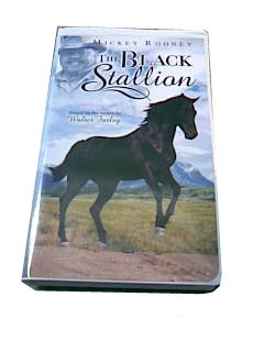 The Black Stallion