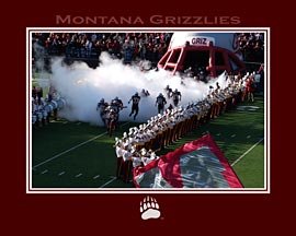 Griz Smoke 11" x 14"