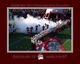 GrizCat Smoke 16" x 20"