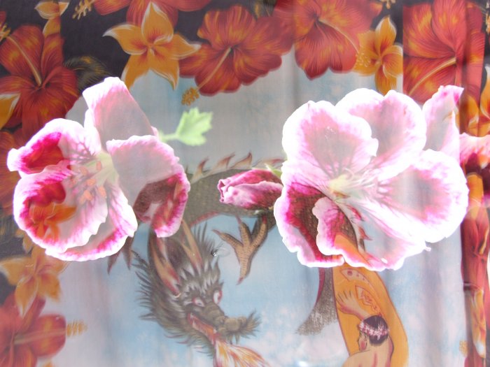 Dragon's Flower