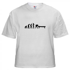 Billiards Evolution