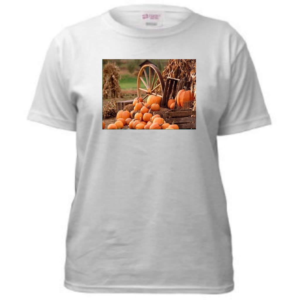 Pumpkin Patch