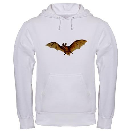 Bat