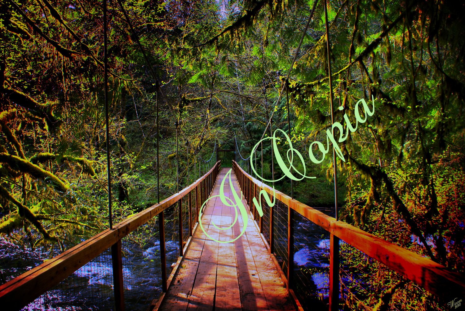 11x14 Print of Fern Park Bridge