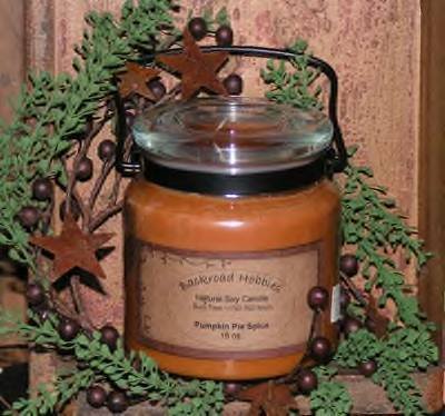16 oz Soy Candle with Swivel Handle