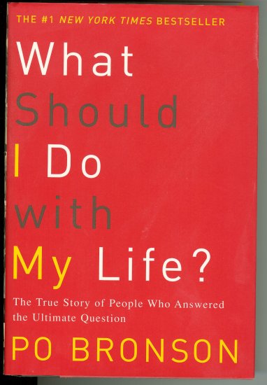 What Should I Do With My Life by Po Bronson (2003)