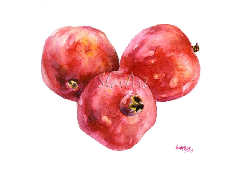 Pomegranates Fruit Food Print Watercolor Home Decor Kitchen Art