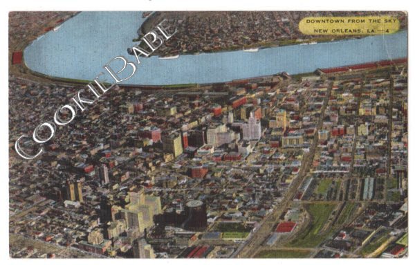 Vtg BIRDS EYE VIEW: NEW ORLEANS LA POSTCARD F64