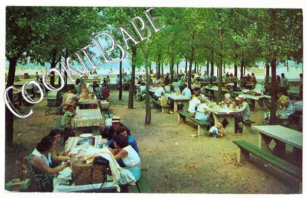 Vtg Michigan City IN Postcard Picnic Area Washington Pk
