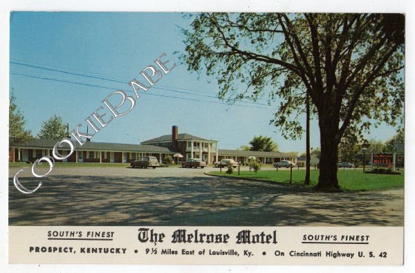Vtg PROSPECT KY *THE MELROSE MOTEL* US 42 Postcard F75