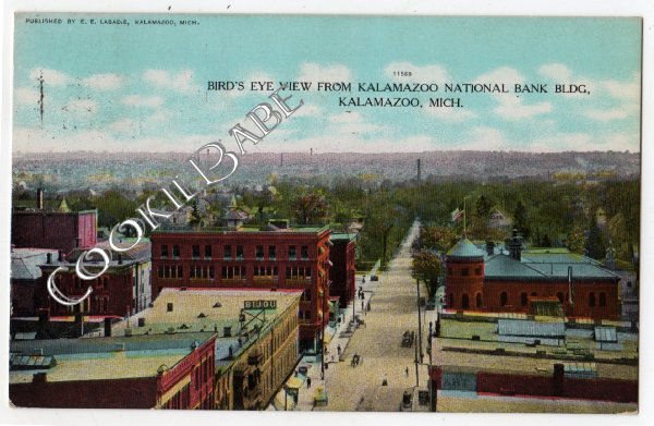 Vtg 1908 KALAMAZOO, MI National Bank Bldg OLD POSTCARD