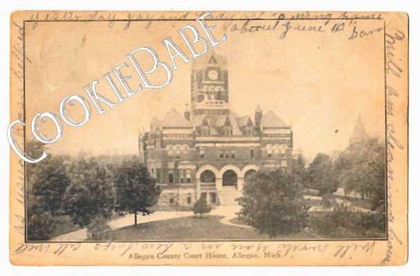 1907 UDB ALLEGAN, MI County Court House Postcard F86