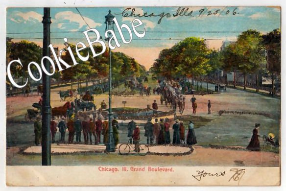 1906 UDB Glitter Postcard CHICAGO, IL GRAND BLVD MLK