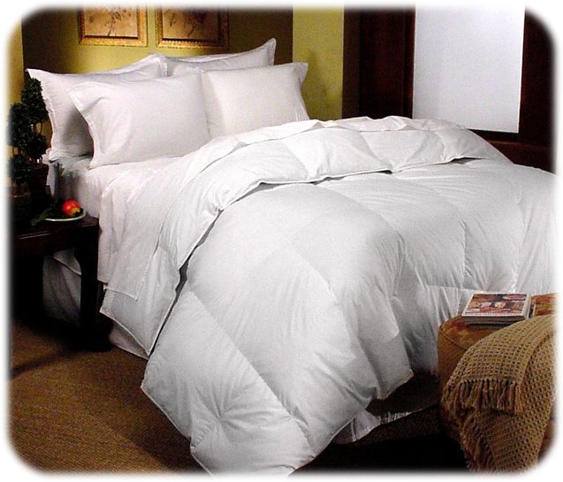Oversized 370 TC Supima GOOSE DOWN COMFORTER TWIN SIZE