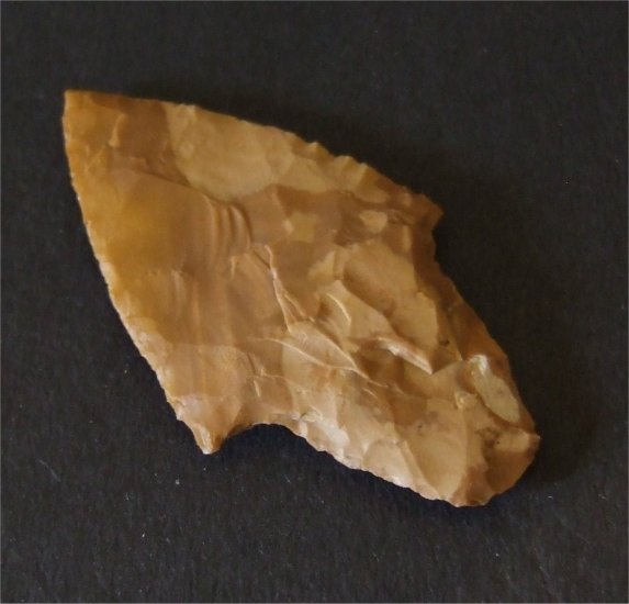 Adena #5218