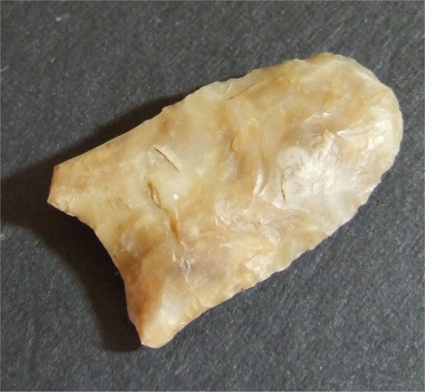 Clovis #5230