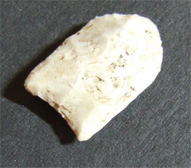 Angostura #5231