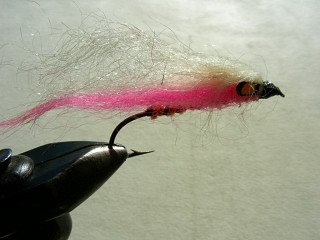 Salmon Fly f2