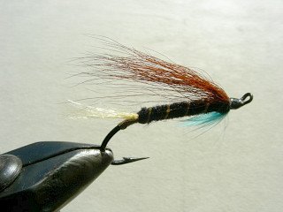 Salmon Fly f8