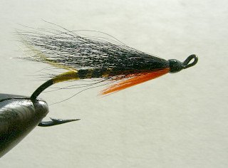 Salmon Fly f10