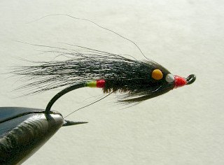 Salmon Fly f13