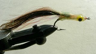 Pike Musky Baracuda Fly f14