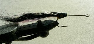 Pike Musky Baracuda Fly f15