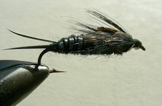 Nympf Stonefly f28