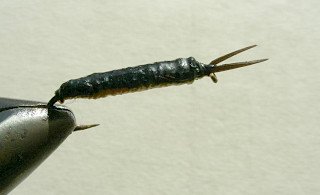 Nympf Stonefly f29