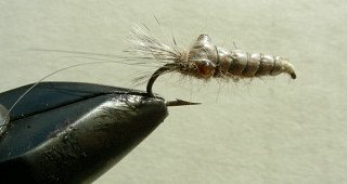 Nympf Stonefly f32