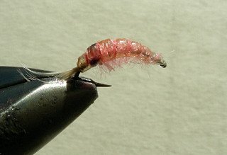 Nympf Stonefly f33