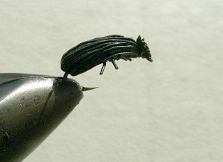 Nympf Stonefly f34