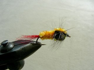 Rainbow Trout Streamer f37