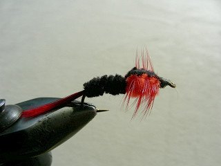 Rainbow Trout Streamer f38