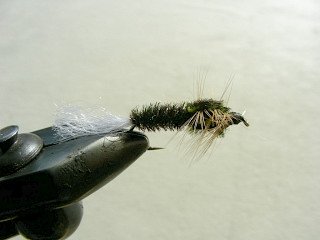 Rainbow Trout Streamer f39