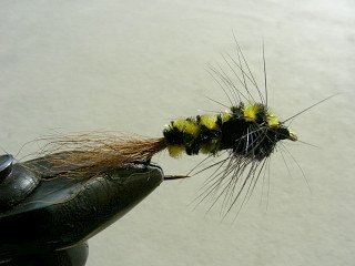 Rainbow Trout Streamer f40