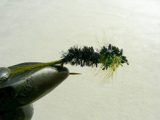 Rainbow Trout Streamer f45
