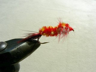 Rainbow Trout Streamer f46