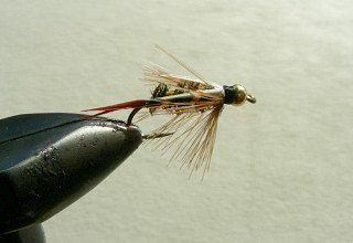 Rainbow Trout Streamer f48